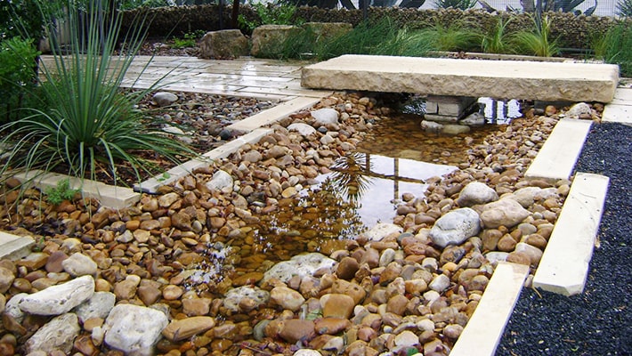 rain garden
