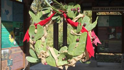 Prickly pear wreath