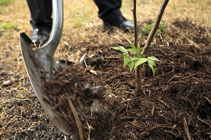 Add Mulch