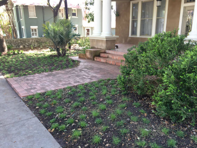 water saver solutions to grass, planting | SAWS Garden Style Conservation Water Saver San Antonio Texas