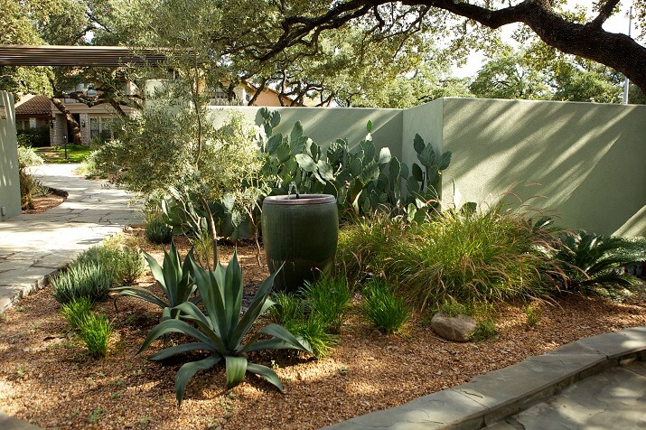 relaxing backyard with cactuses and sage colored concrete walls
