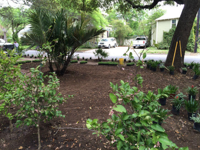spacious green plan landscape