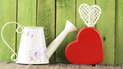 watering can heart