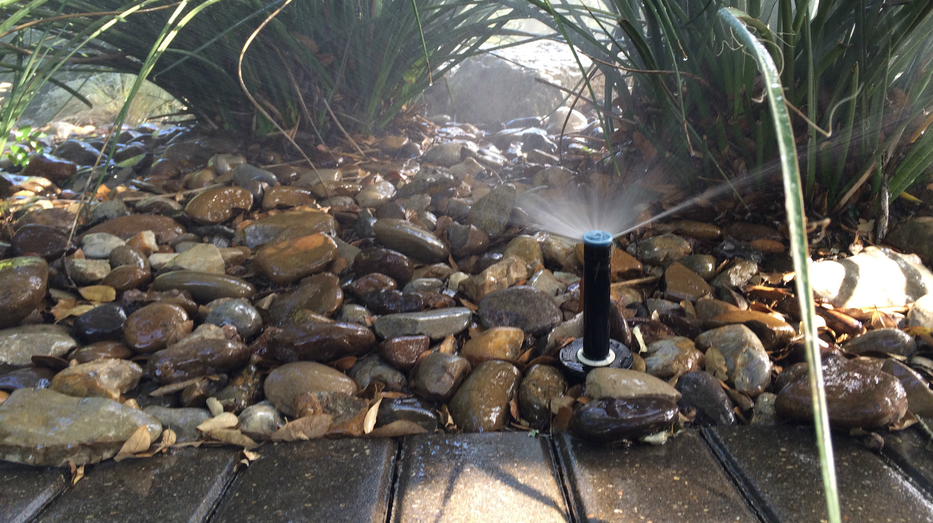 Sprinklerheads wasting water on rocks. Sprinklerheads wasting water on rocks