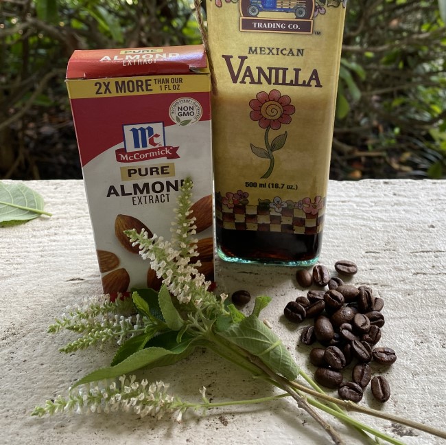 almond-verbena-aloysa-virgata-650x650-fragrance-img_0458
