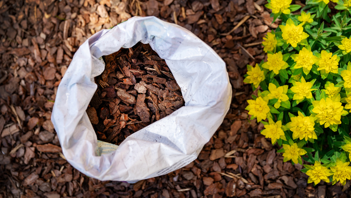 pine tree bark mulch