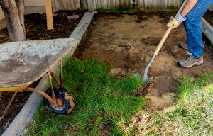 grass removal
