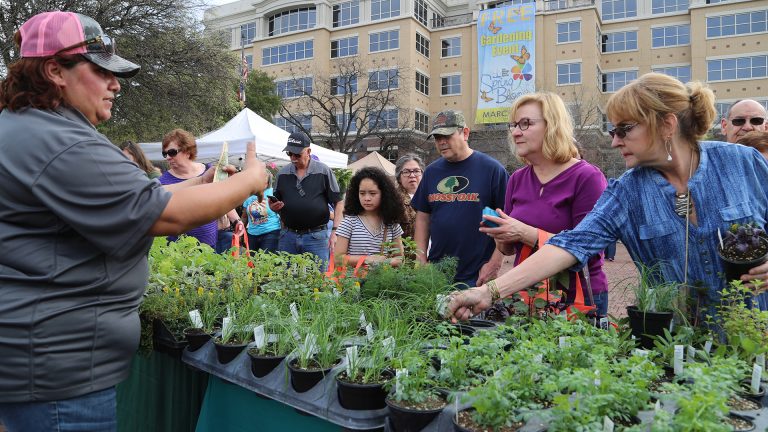 people looking at plants