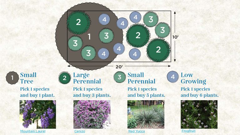 plant by number story