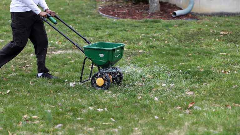 pre-emergent herbicides