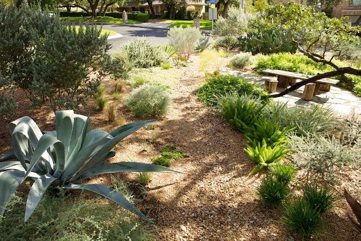 Decomposed Granite with Plants