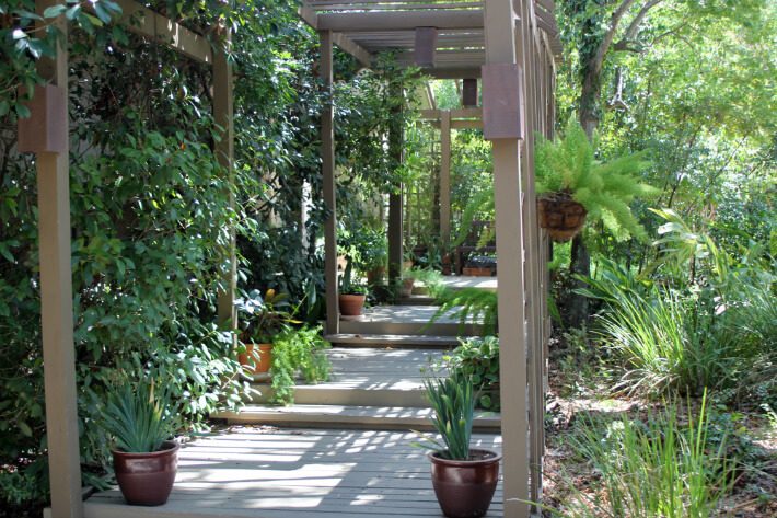 Arbors and Wooden Decking
