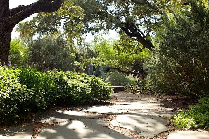 Shady Path