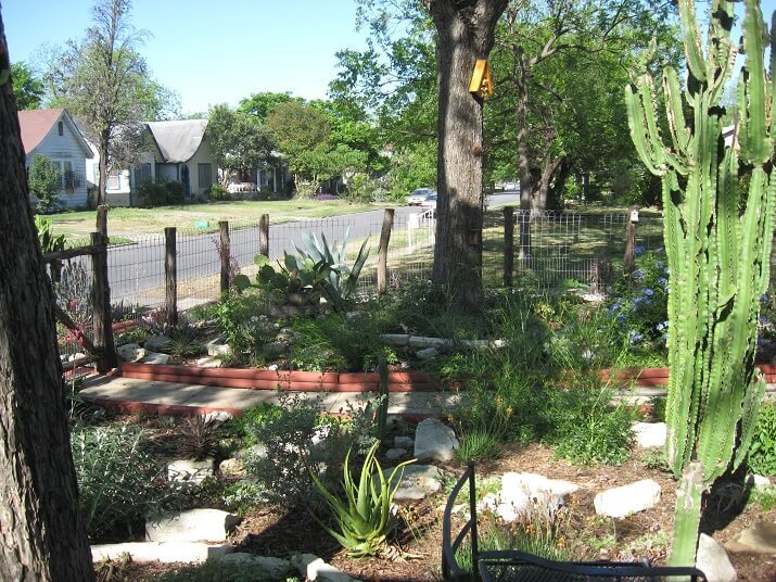 Front Yard Fun