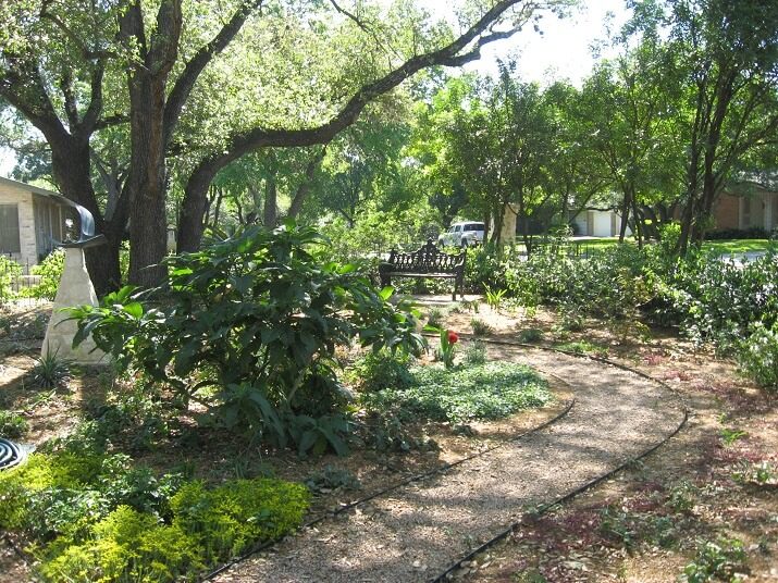 Mulch Beds for Trees