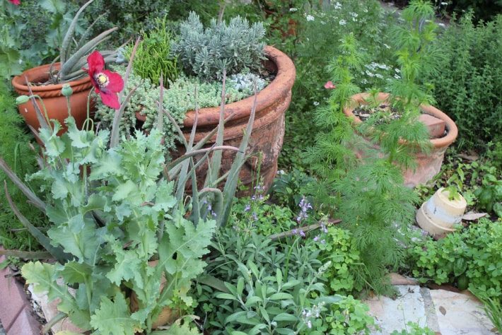 Large pots provide an anchor