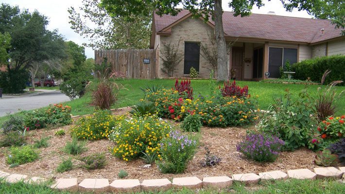 Native plant corner garden