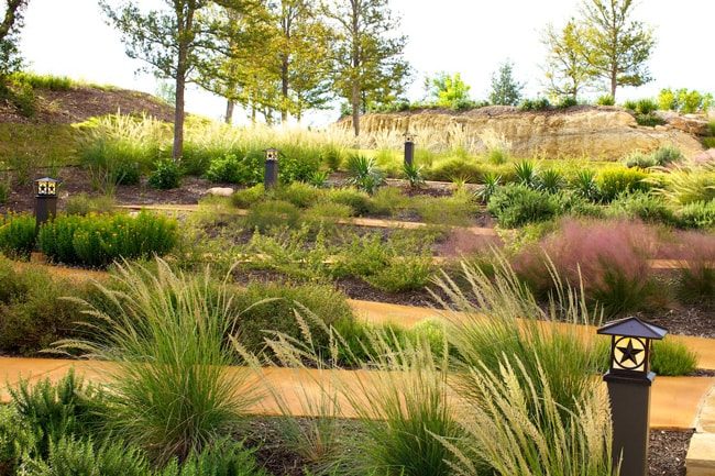 Spikes and Mounds
