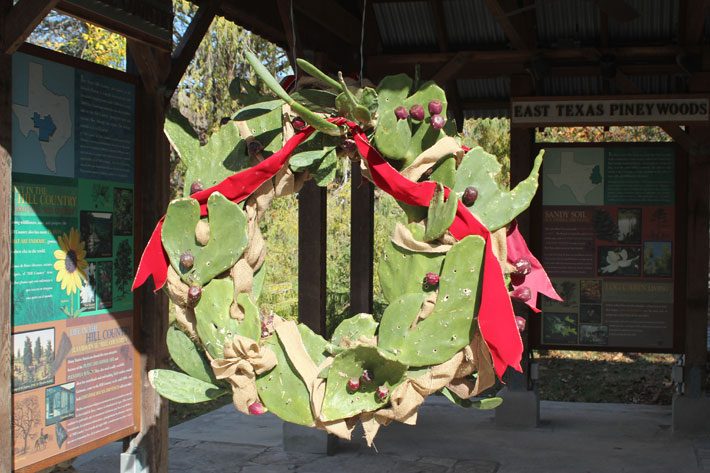 Prickly Pear with European Olive