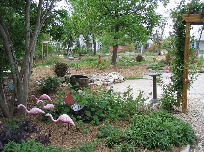 Flock of flamingos
