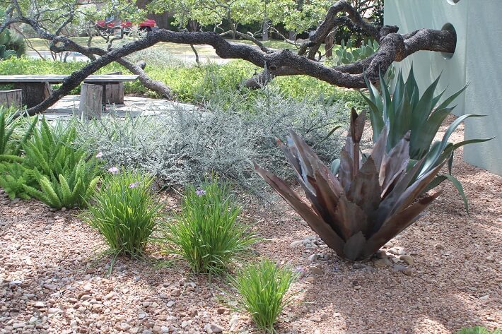 Metal Agaves