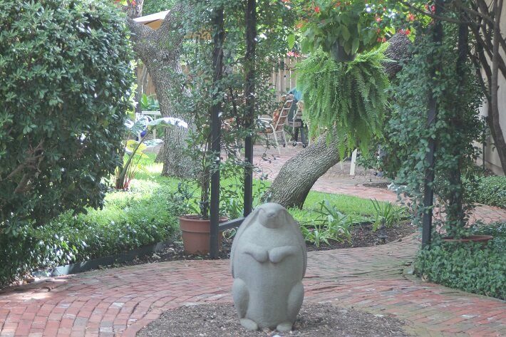 Rabbit!