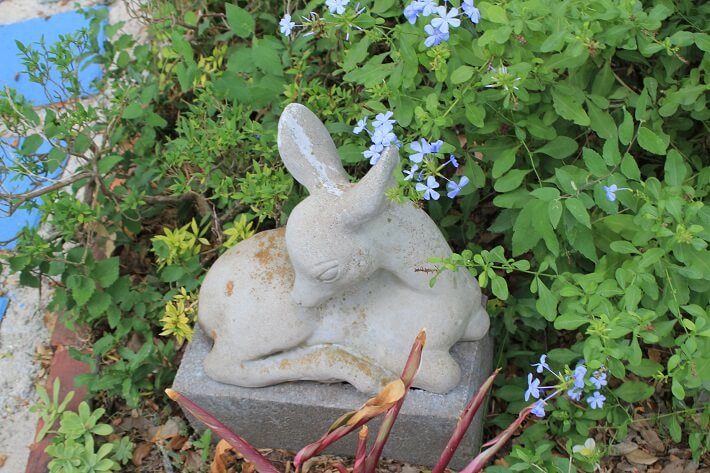 Stone fawn