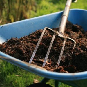 Preparing to spread soil with a pitchfork and wheelbarrow.