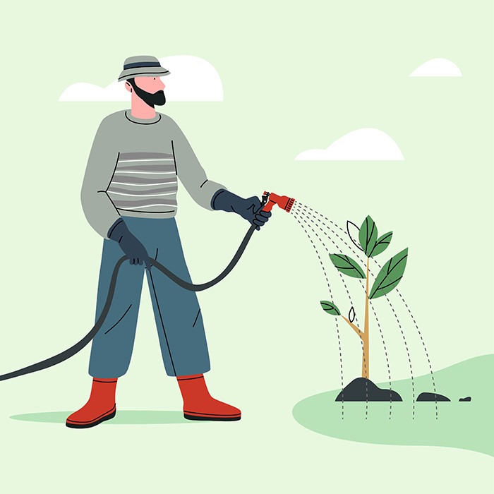 watering small tree