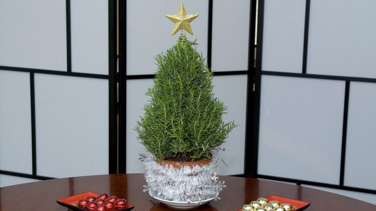 tree