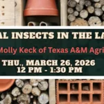 March calendar entry for class at Eco Centro on the 26th.