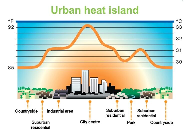 infographic