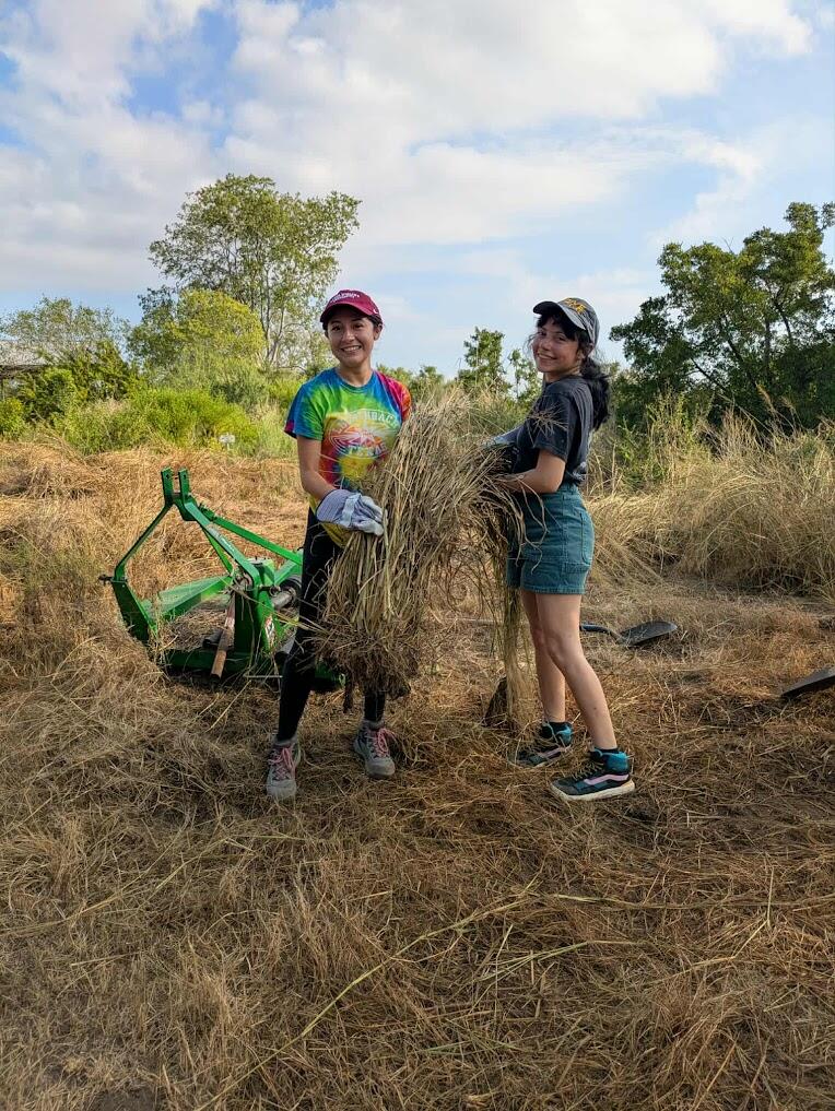 Volunteers gathering cut vegetation at a Habitat cleanup day at Mitchell Lake Audubon Center