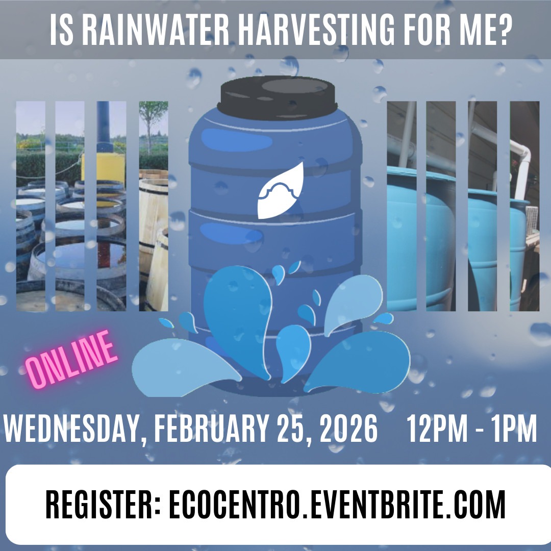 Event calendar entry for February 2026, featuring a class on rainwater harvesting on the 25th.