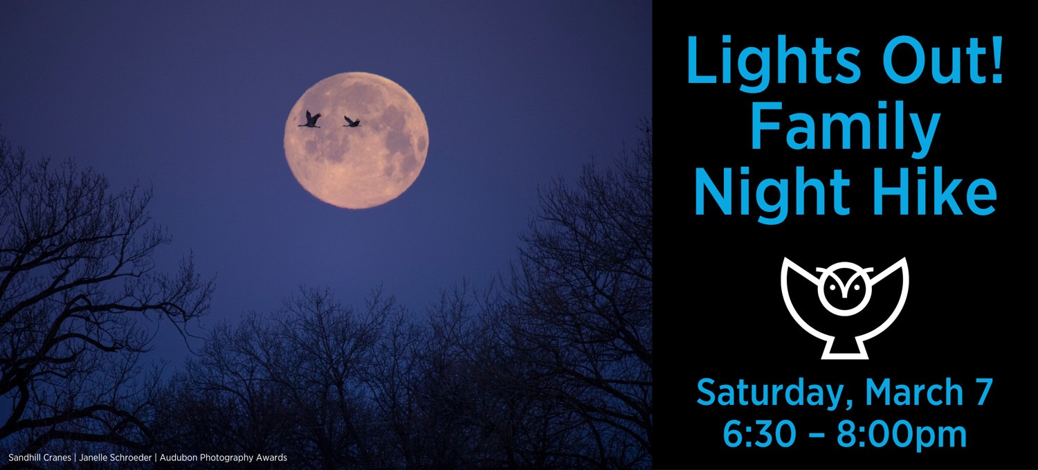 March calendar graphic for Mitchell Lake family night hike on the 7th.