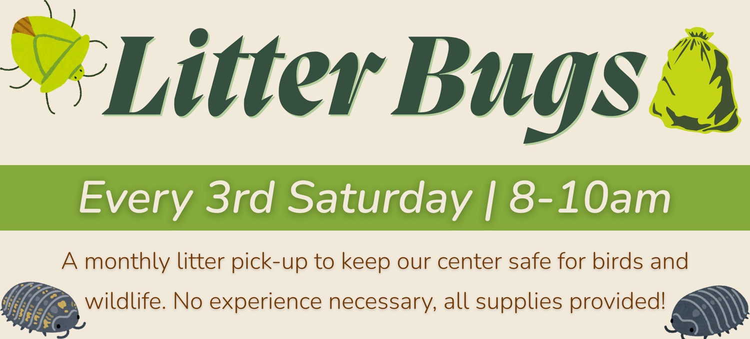 May calendar entry for Litter Bug cleanup day on the 16th.