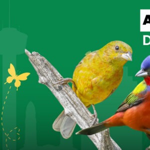 March Calendar entry for class at San Antonio Botanical Gardens on the 21st.