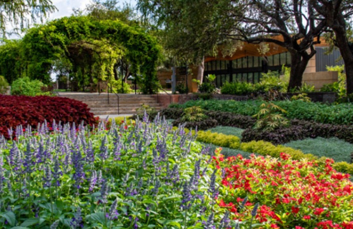 Vivid blue and red flowers with lush green leaves at San Antonio Botanical Garden display.