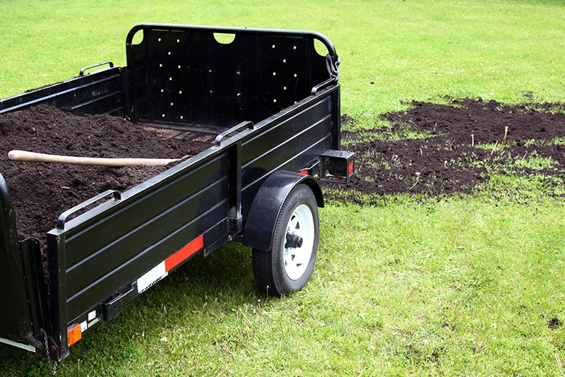 topdressing lawn