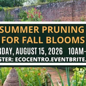 August calendar entry for Eco Centro class on the 15th