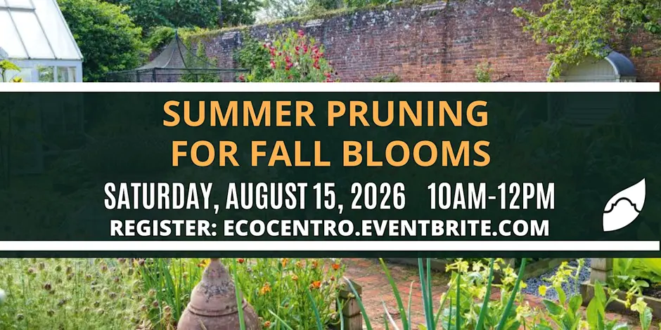 August calendar entry for Eco Centro class on the 15th