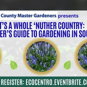 August calendar entry for Eco Centro workshop on the 5th