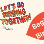June calendar entry for Mitchell Lake bird walk on the 13th