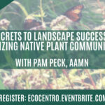 Event Graphic for Eco Centro's Secrets to Landscape Success: Utilizing Native Plant Communities with Pam Peck, AAMN event. Wednesday, September 16th from 6 pm to 7:30 pm. Register at ecocentro.eventbrite.com