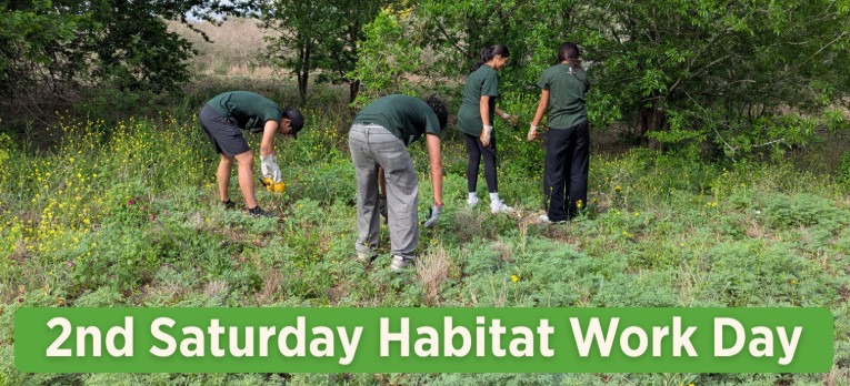 Graphic for the Mitchell Lake Audubon Center 2nd Saturday Habitat Work Day