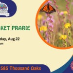 Event Graphic for the Pocket Prairie 101 Class on Saturday, August 22nd at 10 a.m. 2585 Thousand Oaks. This is a free event.