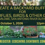 Event Graphic for Eco Centro's "Create a Backyard Buffet for Butterflies, Birds and Other Guests" presented by Lee Marlowe with the San Antonio River Authority