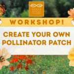 Graphic for the Green Spaces Alliance Create Your Own Pollinator Patch workshop