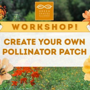 Graphic for the Green Spaces Alliance Create Your Own Pollinator Patch workshop