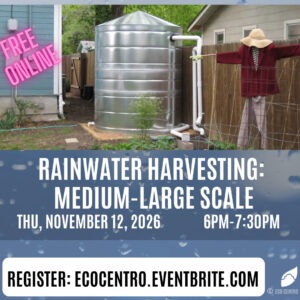 November calendar graphic for Eco Centro workshop on the 12th